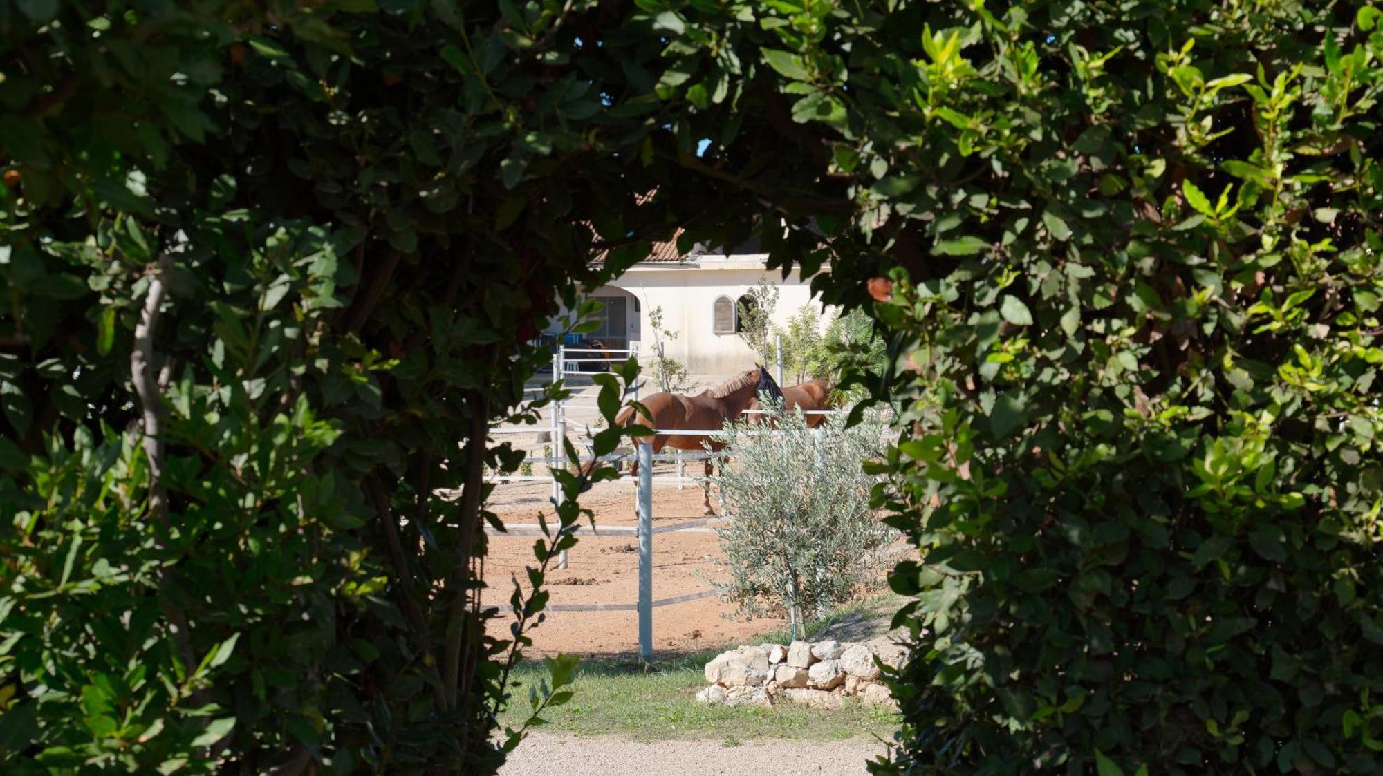 Delle Rose, Hotel & Horse Riding Torre Vado Bagian luar foto