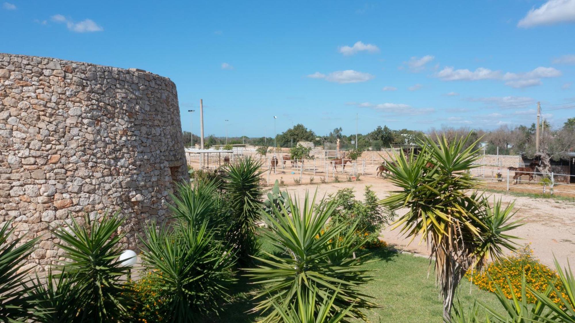 Delle Rose, Hotel & Horse Riding Torre Vado Bagian luar foto