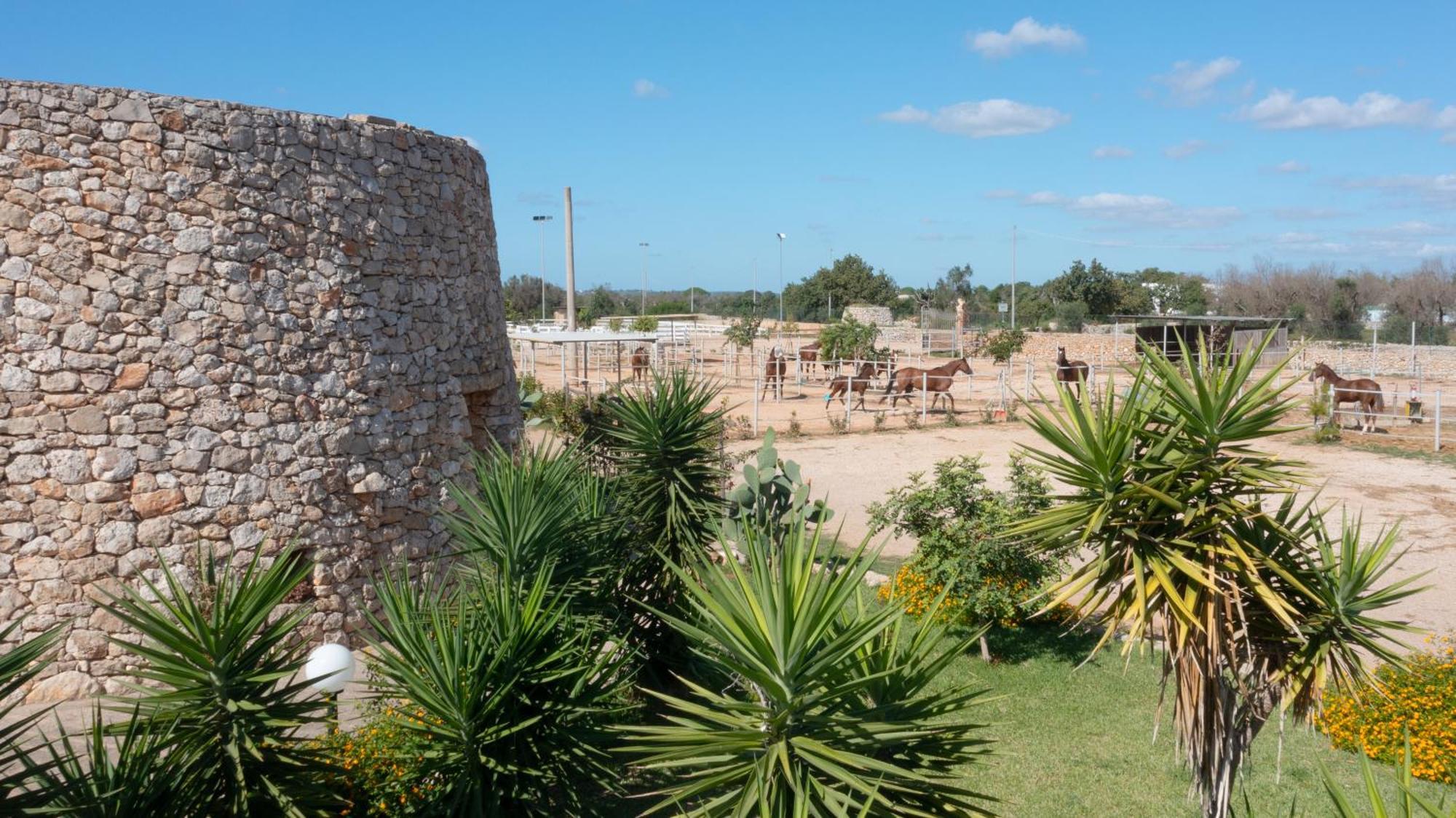 Delle Rose, Hotel & Horse Riding Torre Vado Bagian luar foto